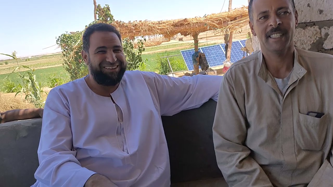 حماده بيقول ال قبلنا مصبروش ضيعونا والأرض هي الأصل ورزق بيقول كل مجتهد نصيب بشركه الفلاح 01008791285
