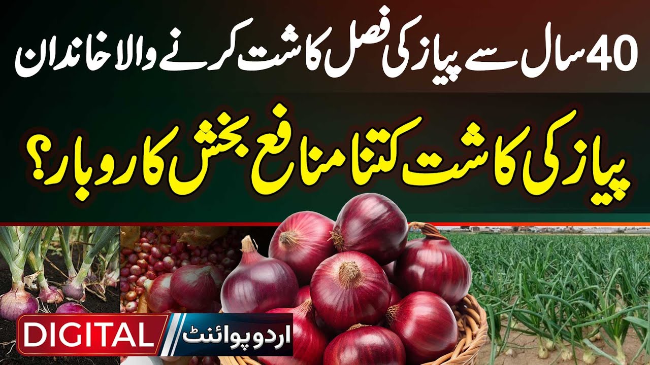 40 Years Se Onions Crop Karne Wali Family - How Profitable Is Onion Farming?