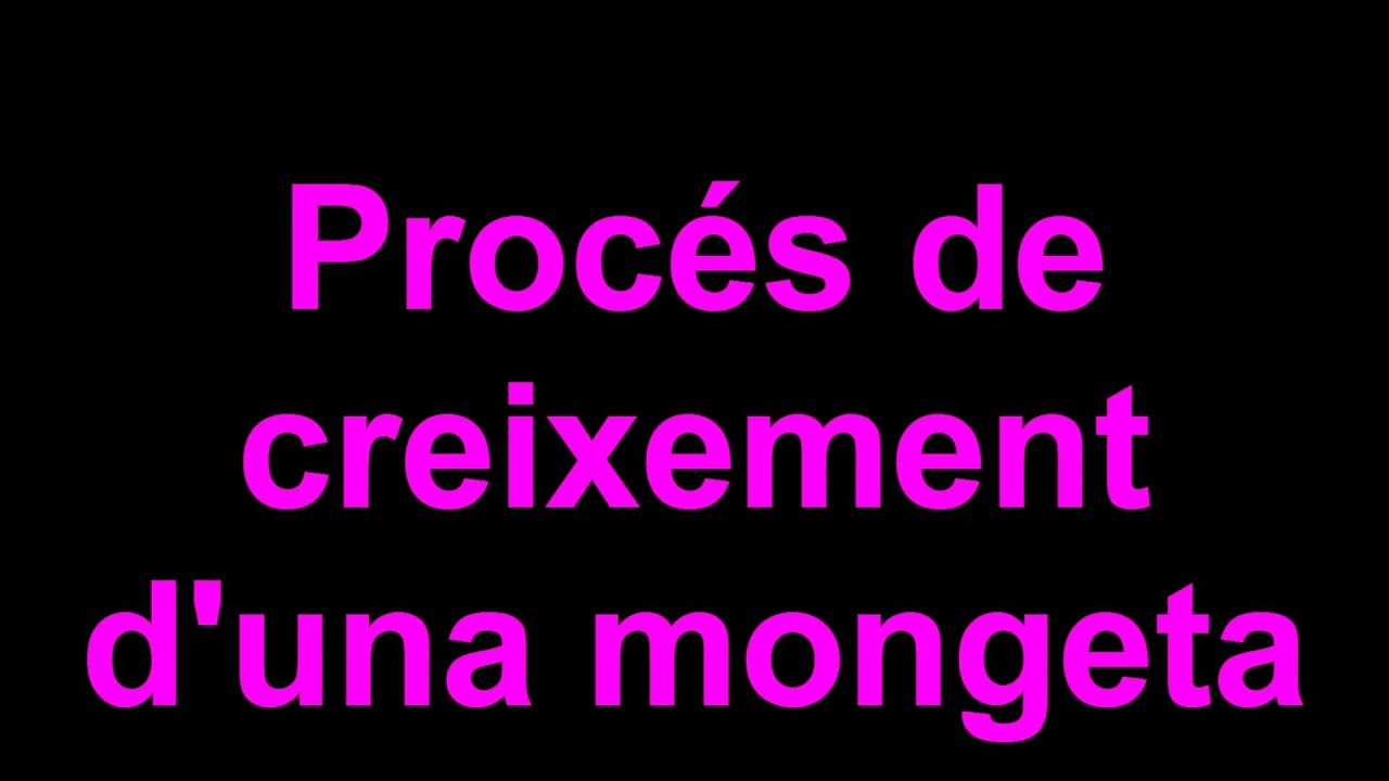Proc&eacute;s de creixement d'una mongeta - Proceso de crecimiento de una jud&iacute;a