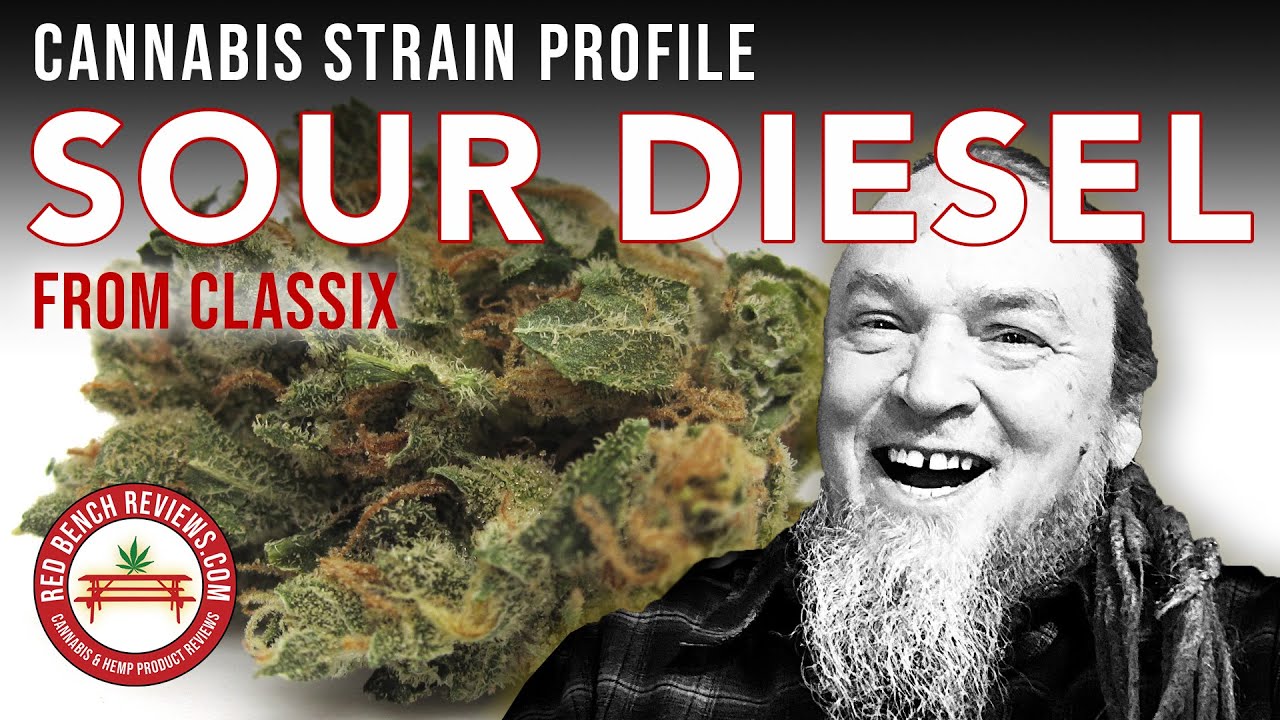 Classix | Обзор сорта Sour Diesel | 20,45% ТГК