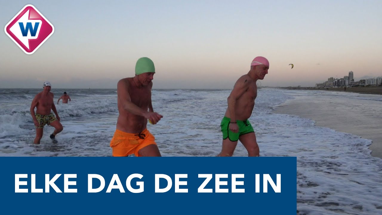 Winter of niet, deze vriendengroep duikt elke dag de zee in - OMROEP WEST