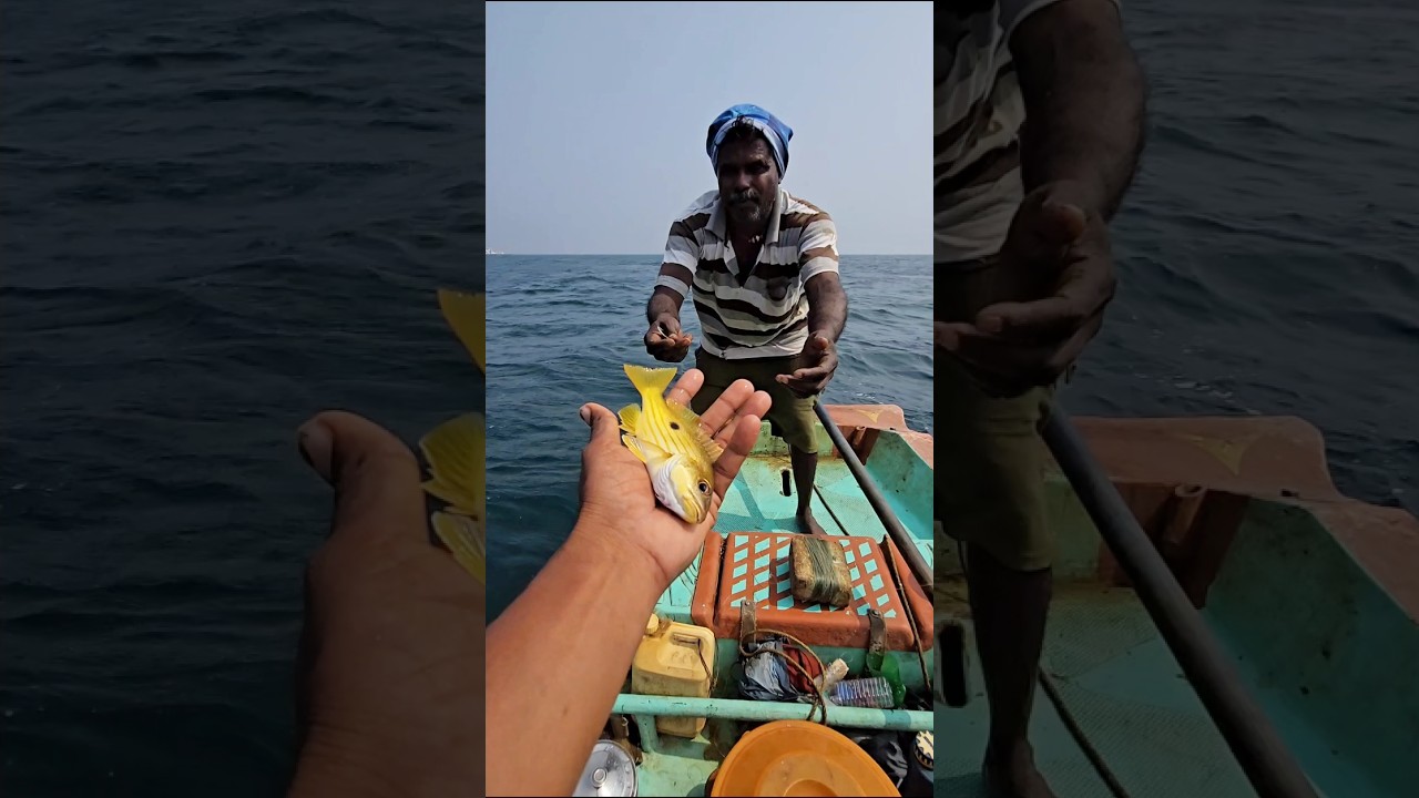 Old Man's Secret Fishing Idea - 3 Feet Big Fish #fishing #fishingvideos #thoondilulagam #seafishing