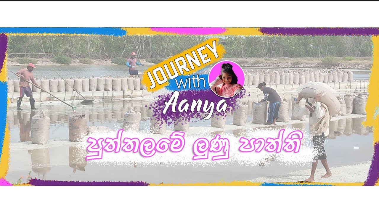 පුත්තලමේ ලුණු පාත්ති  - Puththalame Lunu Paththi - Salt Farm Puttalam 🙋🙋 #ලුණු #salt #saltfarm #1k