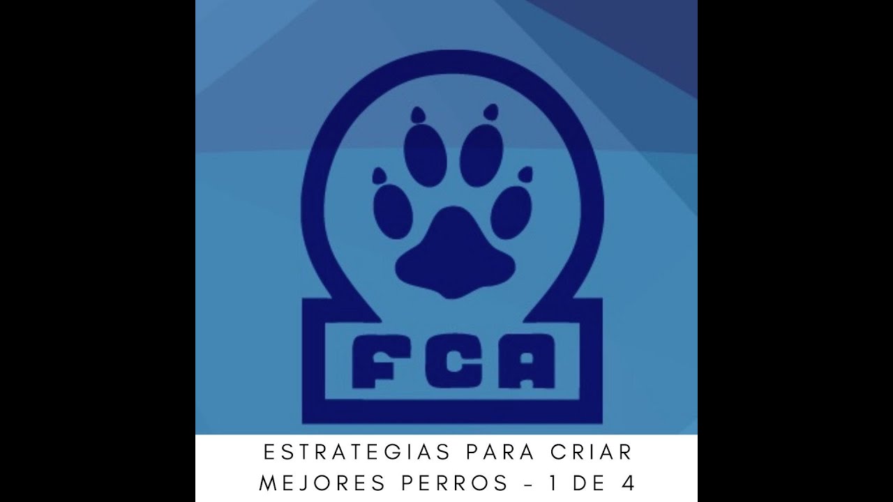 ESTRATEGIAS PARA CRIAR MEJORES PERROS - 1 DE 4