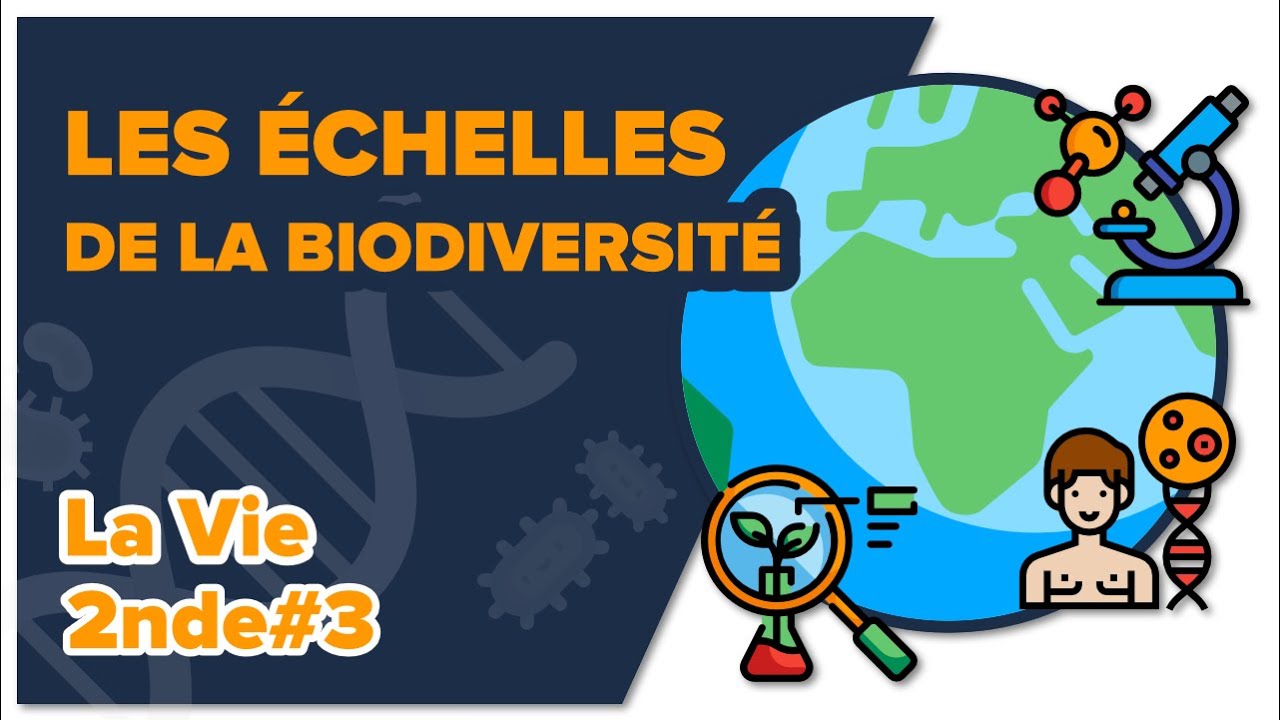 Les échelles de la biodiversité - SVT - LA VIE 2nde #3- Mathrix