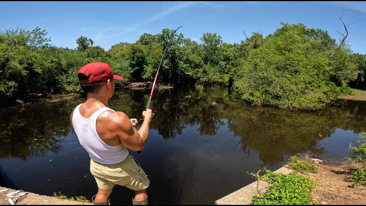 Fishing At Lake Conway/Mayflower, Let's See What's Left!