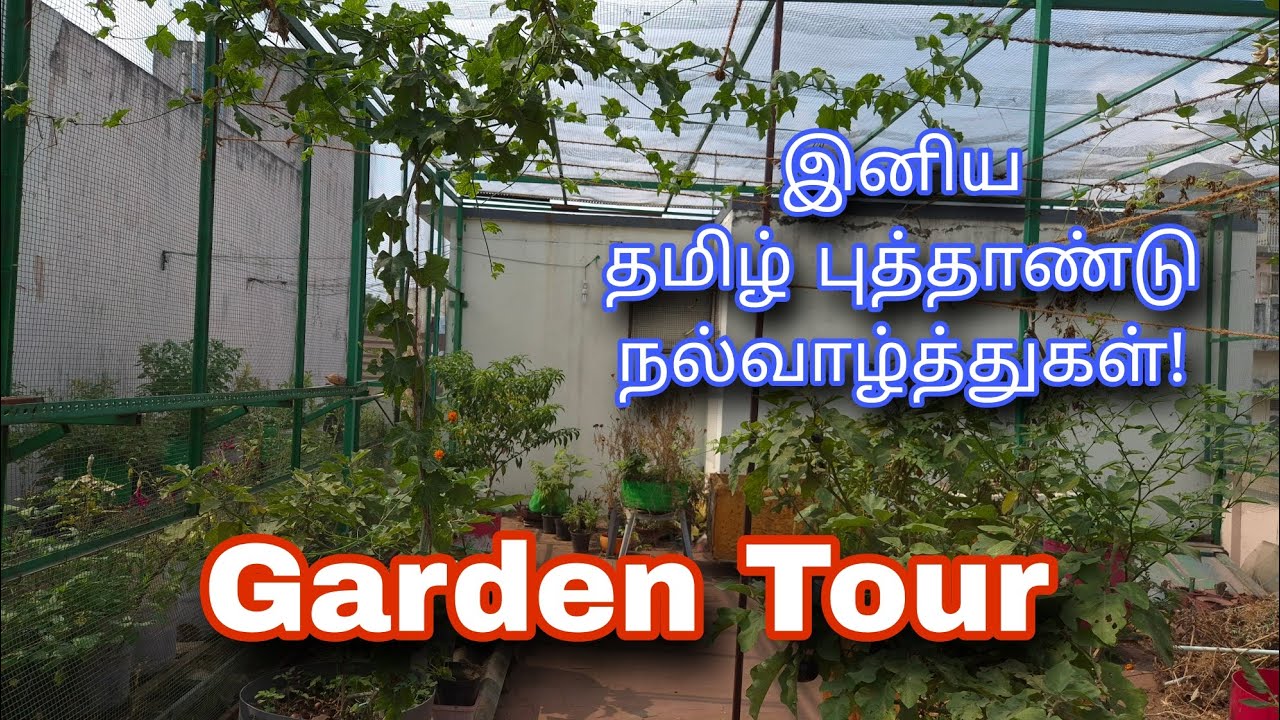 மாடித்தோட்டம் சுற்றிப்பார்க்கலாம் | Terrace Garden Tour | Gardening | Organic Farming