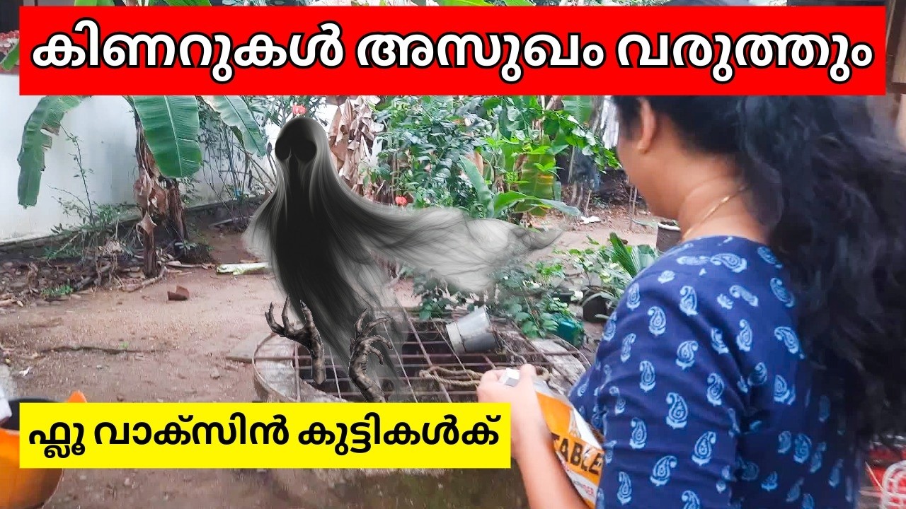 കിണർ വെള്ളം ശുദ്ധീകരിക്കുന്ന കണക്ക്! 💧കുട്ടികൾക്ക് Flu Vaccine സേഫ് ആണോ? Well Cleaning & Vaccination