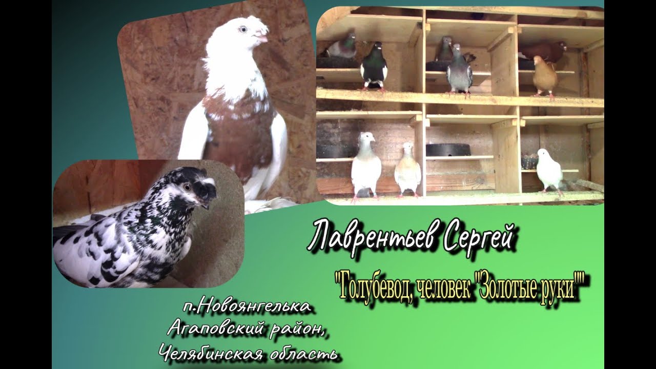 Лаврентьев Сергей/ 