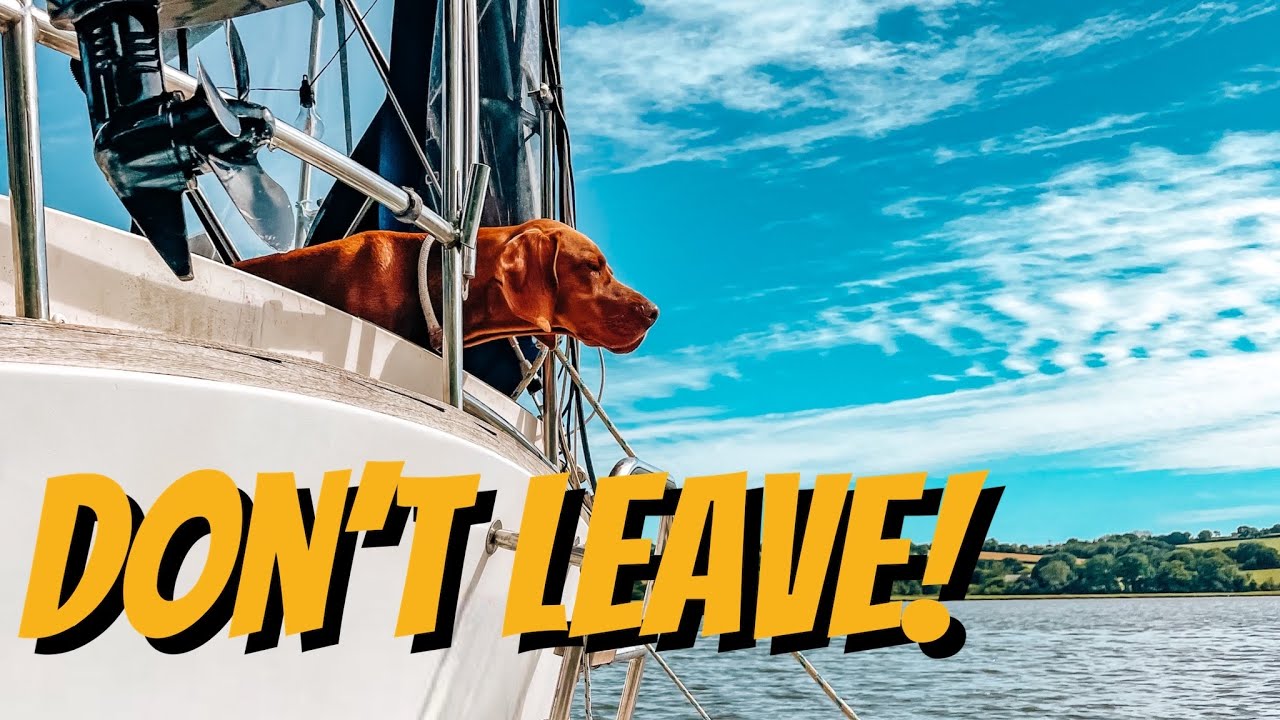 Having to leave Hank behind 🥺 - Sailing Cadoha (S4 Ep9)