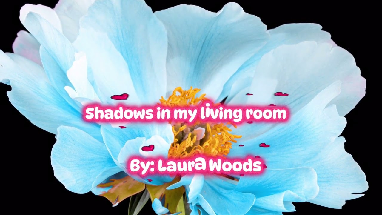 SHADOWS IN MY LIVING ROOM 