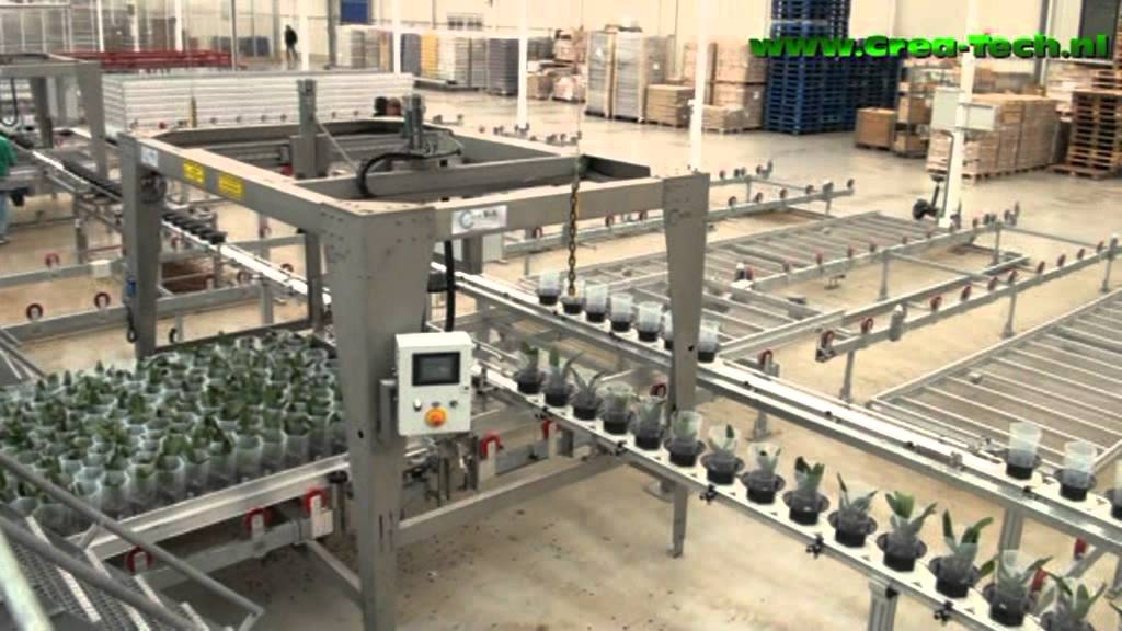 Crea-Tech Wijderzetten groeicellen