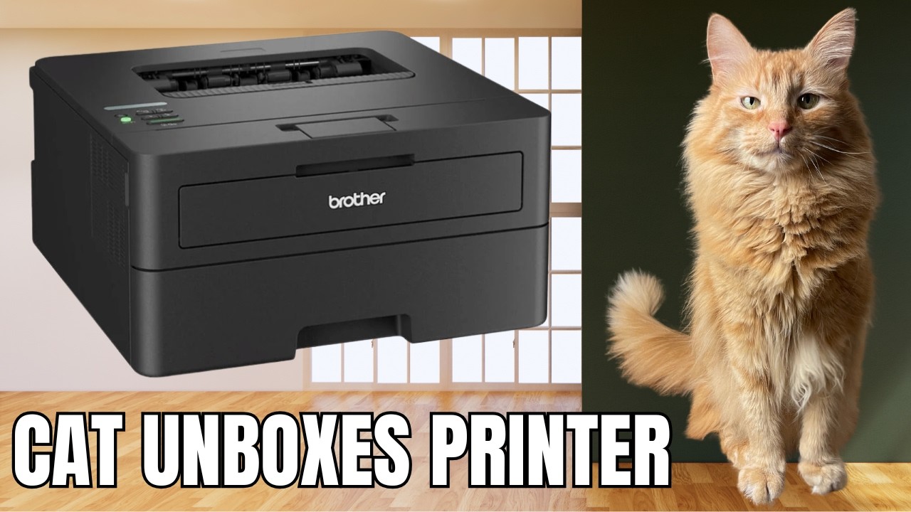 Cat Unboxes Brother HL-L2460DW Printer!