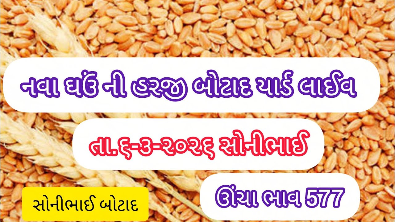 🔵😱તા.૬-૩ ઘઉં🔵ની હરાજી બોટાદ યાર્ડ #sonibhaibotad #lifeisbutadream #farmer 