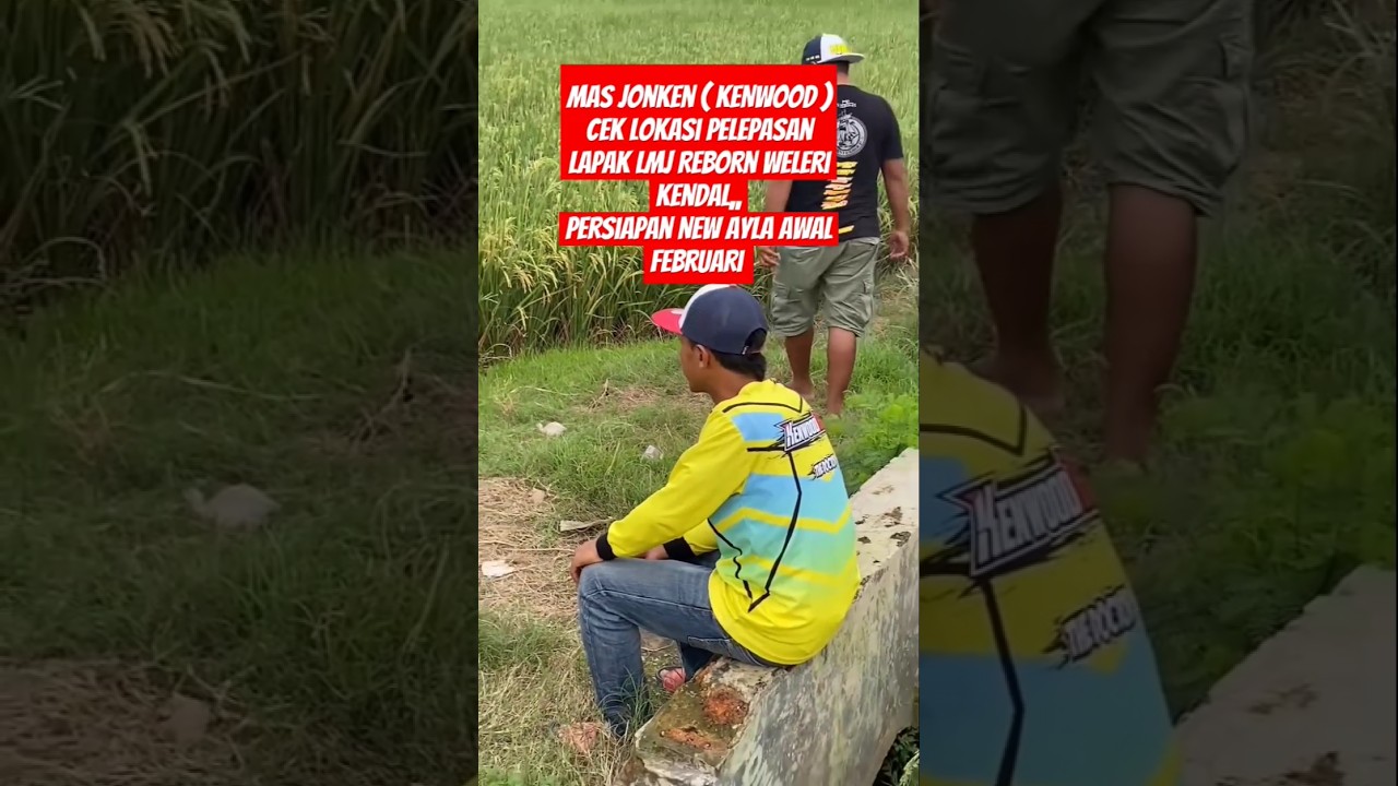 Mas Juned KENWOOD cek lokasi pelepasan di lapak LMJ Weleri jelang Event New Ayla 