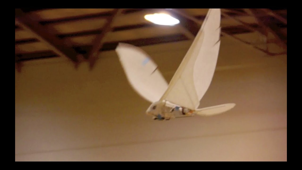 TB50 indoor Flight test