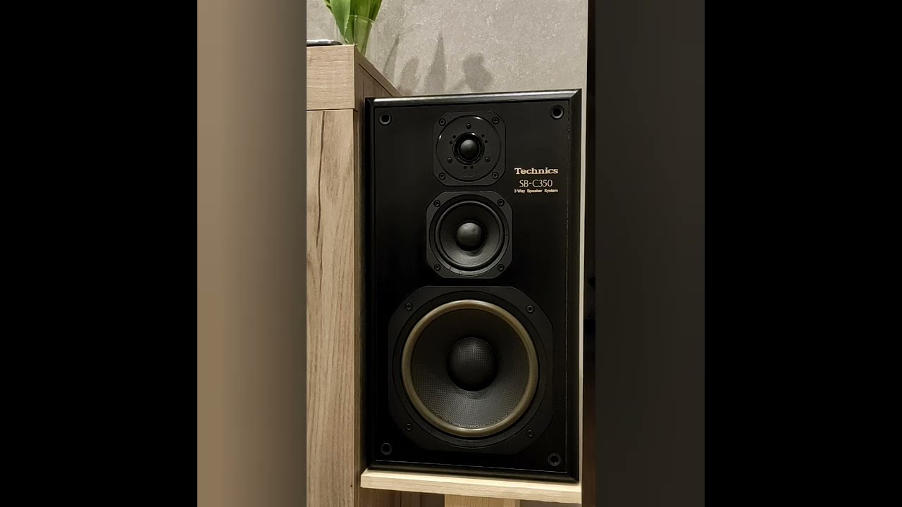 Акустика technics SB-C350 часть 2