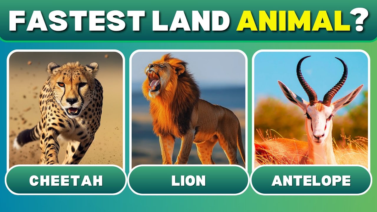 Guess the Animal fact quiz: Moody Quiz