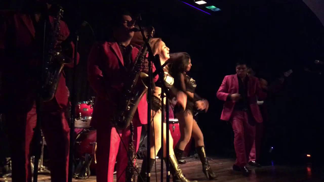 Nativo show, bailamos toda la noche