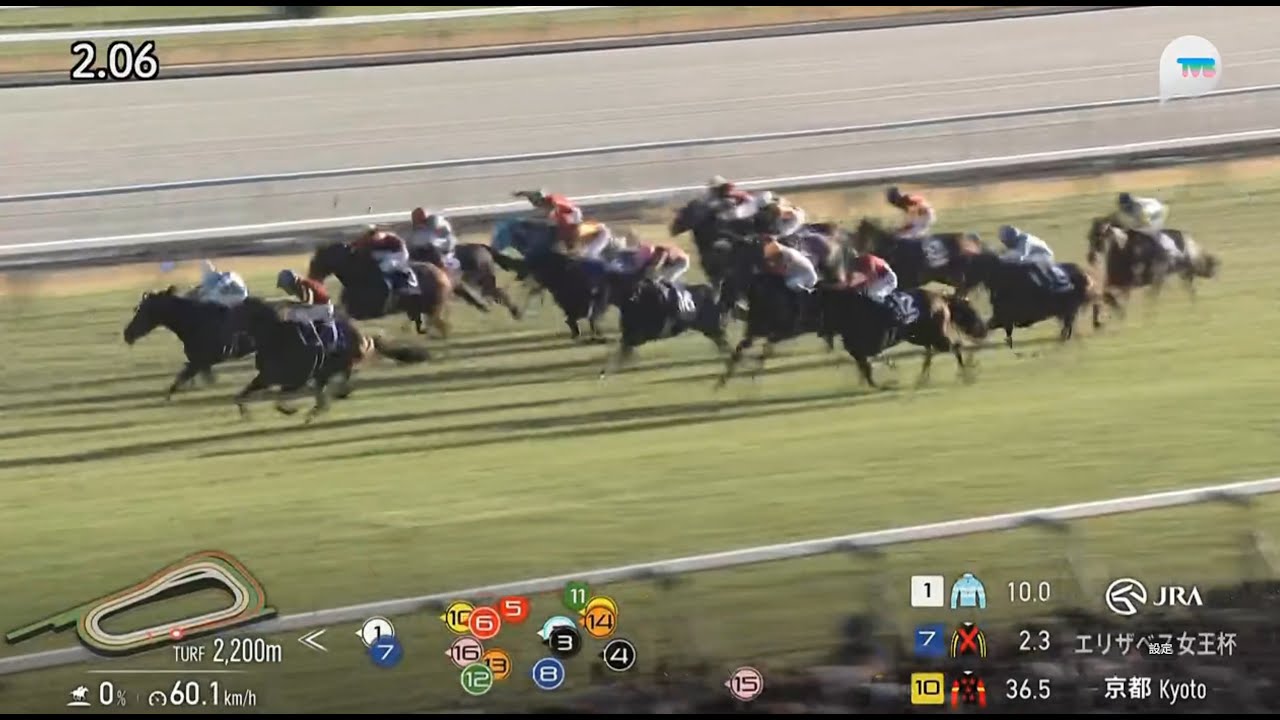 日本女皇伊利沙伯二世盃 Queen Elizabeth II Cup 一級賽 G1 2200m 2025-11-16 蕾麗宮 Regaleira 京都競馬場 Kyoto Racecourse