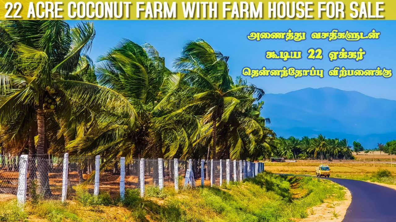 22 Acre coconut Farm with Farm house for sale @ Beautiful Location | Good Income & investment