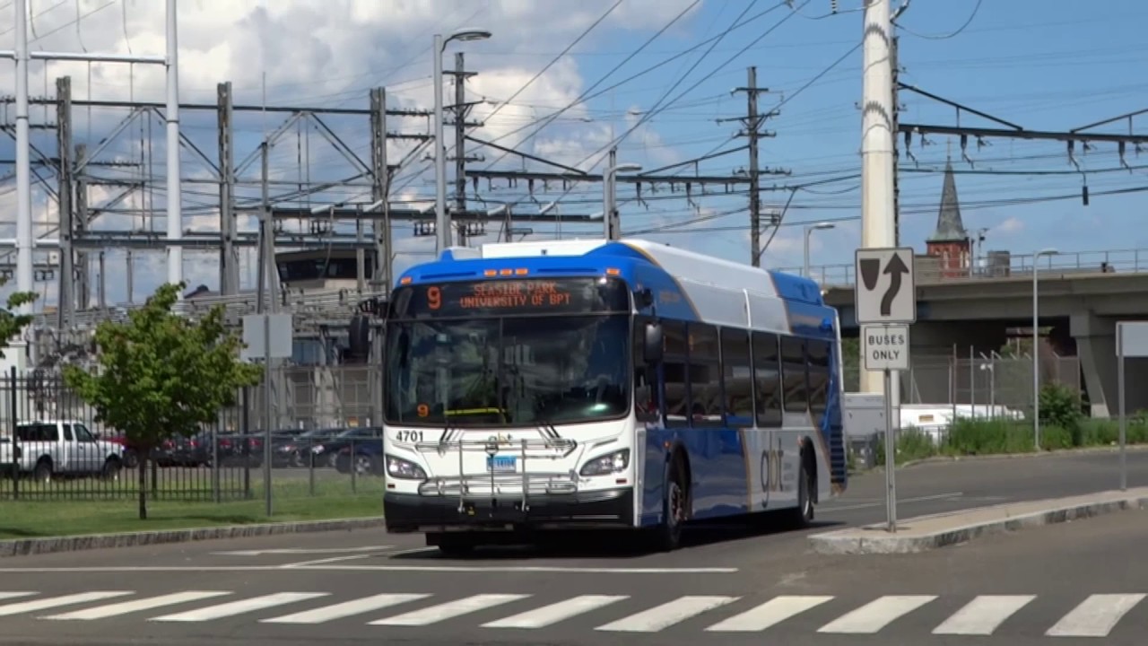 Greater Bridgeport Transit Authority: D35/40LF, XD35, XDE35/40 & Gillig buses @ Gold & Water Sts!