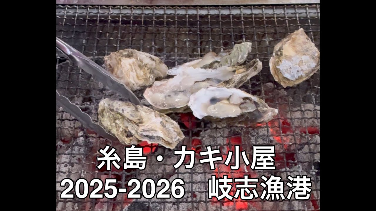 【2025-2026 糸島•牡蠣小屋 / 岐志漁港】