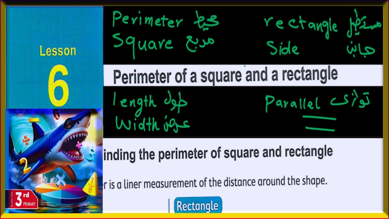 📏 Perimeter of Square and Rectangle | Math Grade 3 Term 2 | أسهل شرح للمحيط 🔥