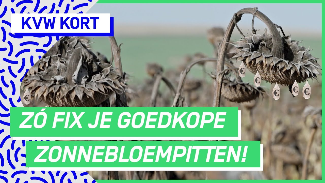 Waarom zijn zonnebloempitten zoveel duurder dan zonnebloemolie? | KVW KORT #31 | NPO 3