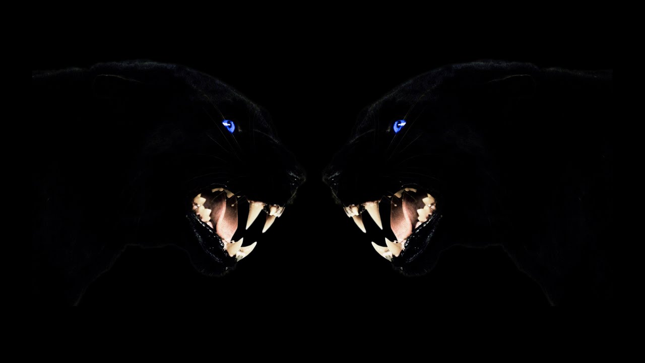 THE SWEET KILL: Darkness OFFICIAL VIDEO