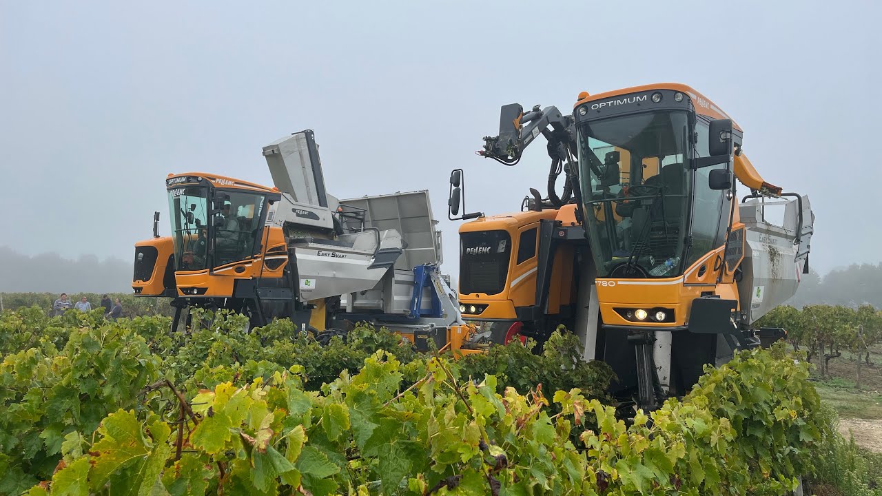 Vendanges 2022 🍇,Duo de Pellenc Optimum 780&750