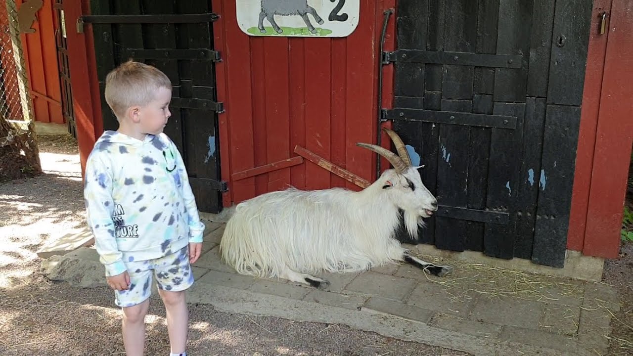 Slottsskogen Park / Barnens zoo in Gothenburg