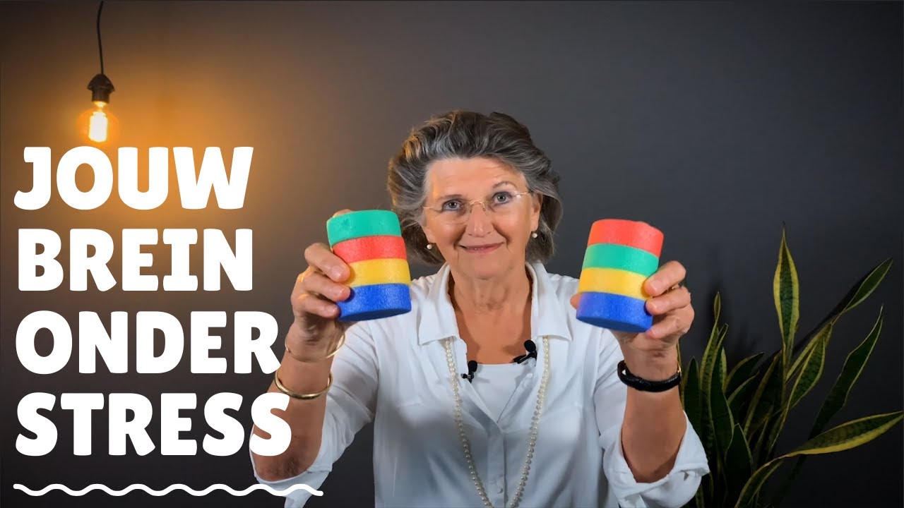 De invloed van stress op jouw gedrag! Hoe verander jij?