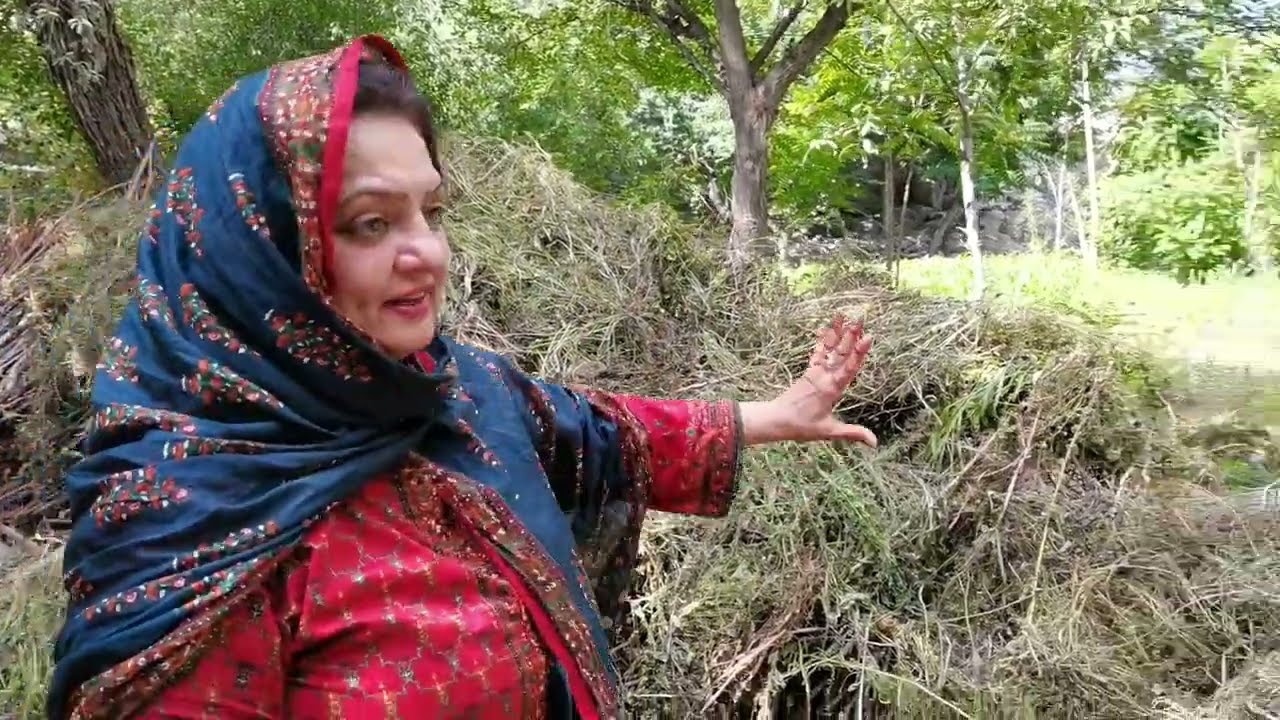 Most Beautiful Village Life in Sekwar | Siqwer | Gilgit Baltistan