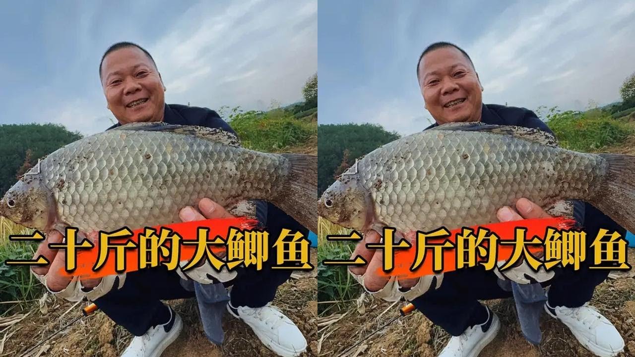 二十斤的大鲫鱼你们见过吗 #最适合冬天的钓鱼经验来了 #原来钓鱼才是抖音运动顶流 #2024dou来钓鱼