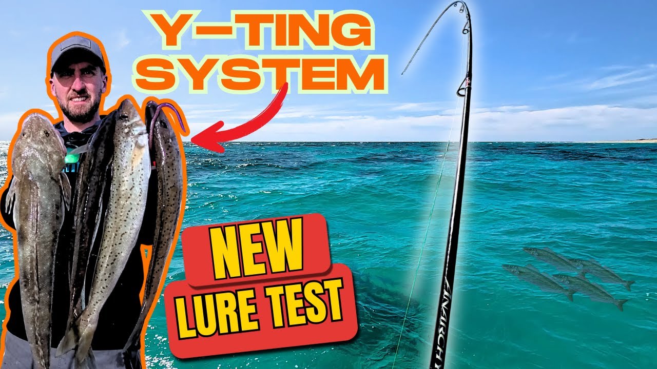 Testing the NEW Y-Ting System on South Aussie King George Whiting!