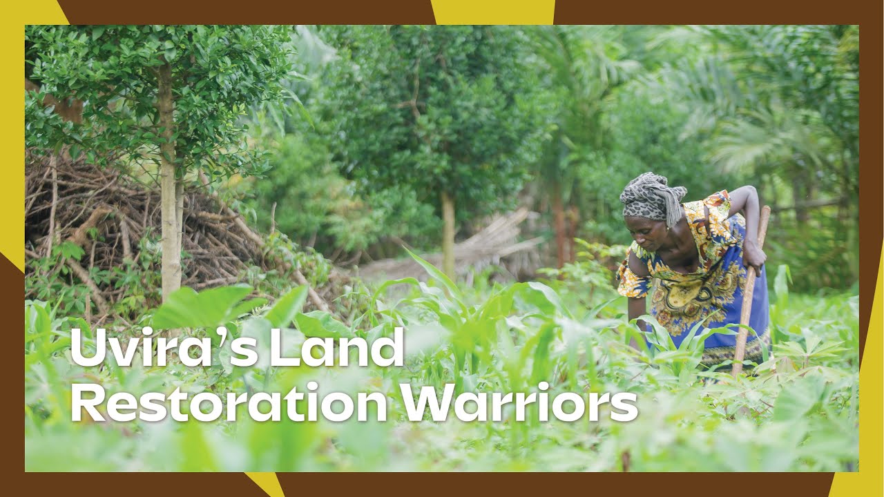 Uvira&rsquo;s Unsung Heroes 🌱 | Fighting to Restore the Land