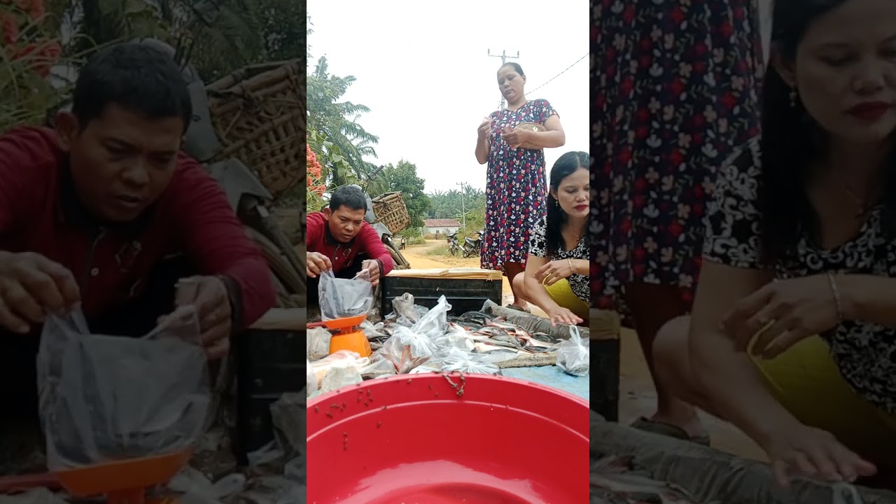Marpoken kita ya