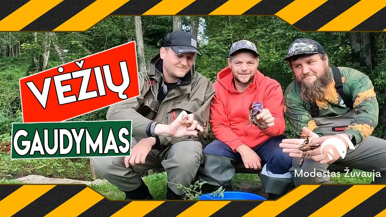 Vėžių gaudymas