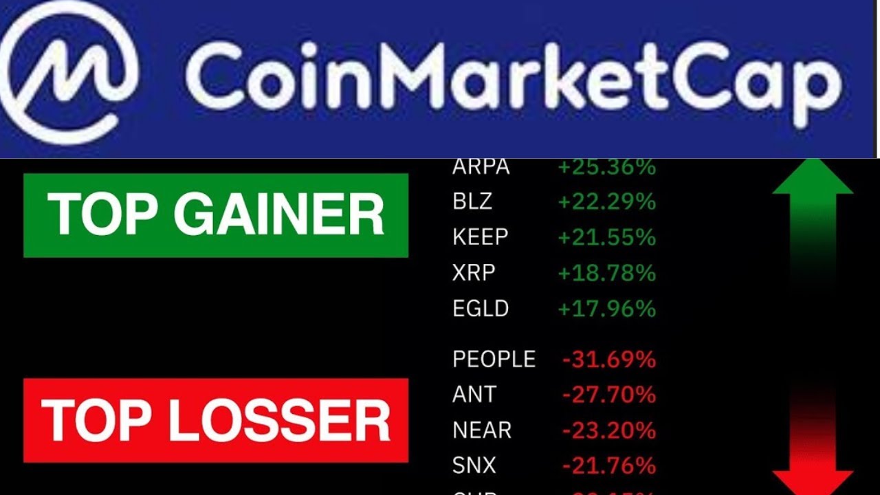 Daily Top Gainers and Top Losers in Crypto | CoinMarketCap Guide for Beginners
