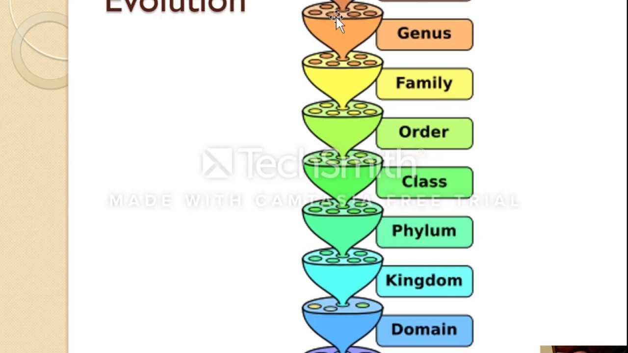 5.3 - Classification (1/2)