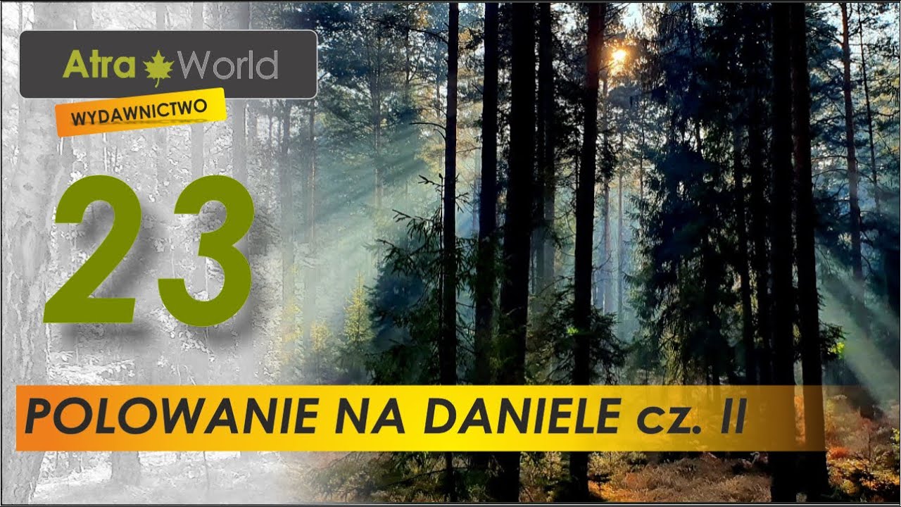 Polowanie na daniele w czasie bekowiska cz. II