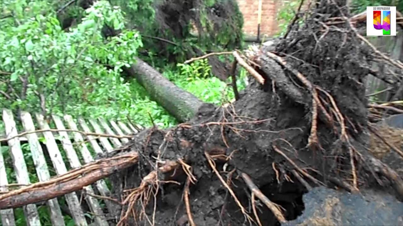 Чорнухи  Наслідки буревію