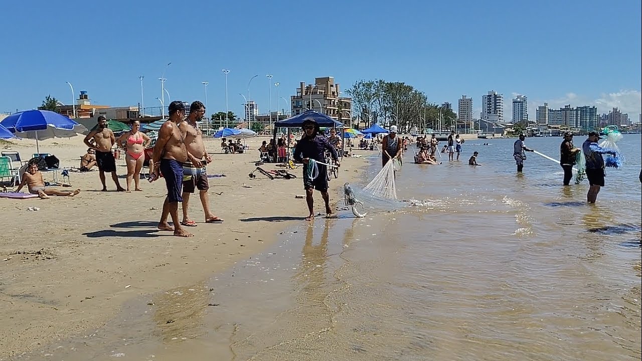 Pesca de tarrafas, 03-02-25, tarde, Barra, Tramandaí, RS. Que tanto peixe!. #pescadetarrafa #tainha