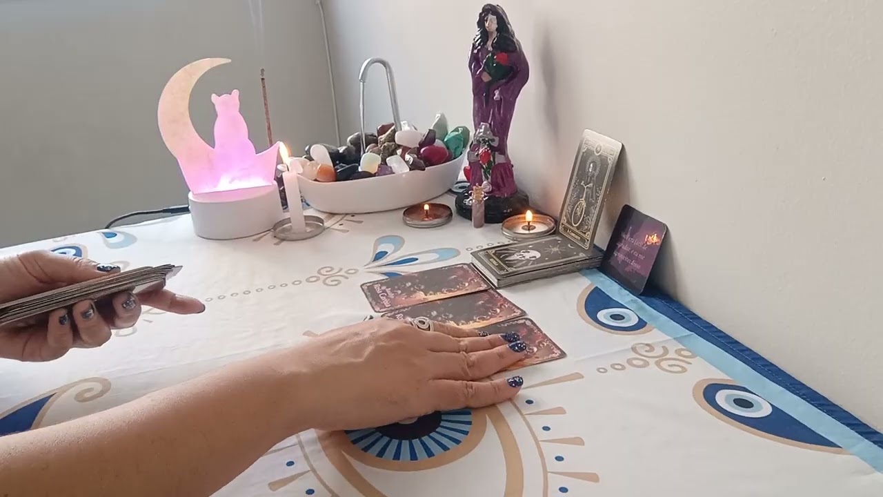 🌹💀 FALA; ESCOLHEU TANTO E AINDA ESCOLHEU ERRADO!!! 🤭🤣