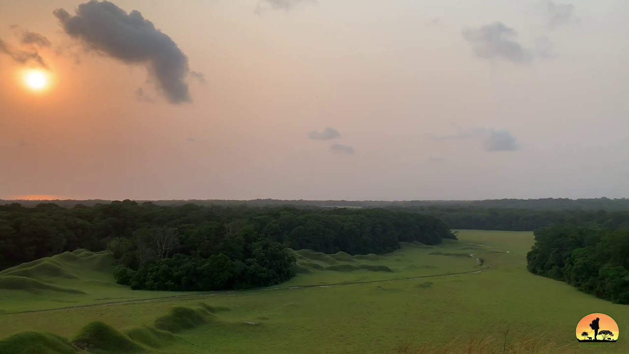 Interesting facts about one of the wildest country in the world.