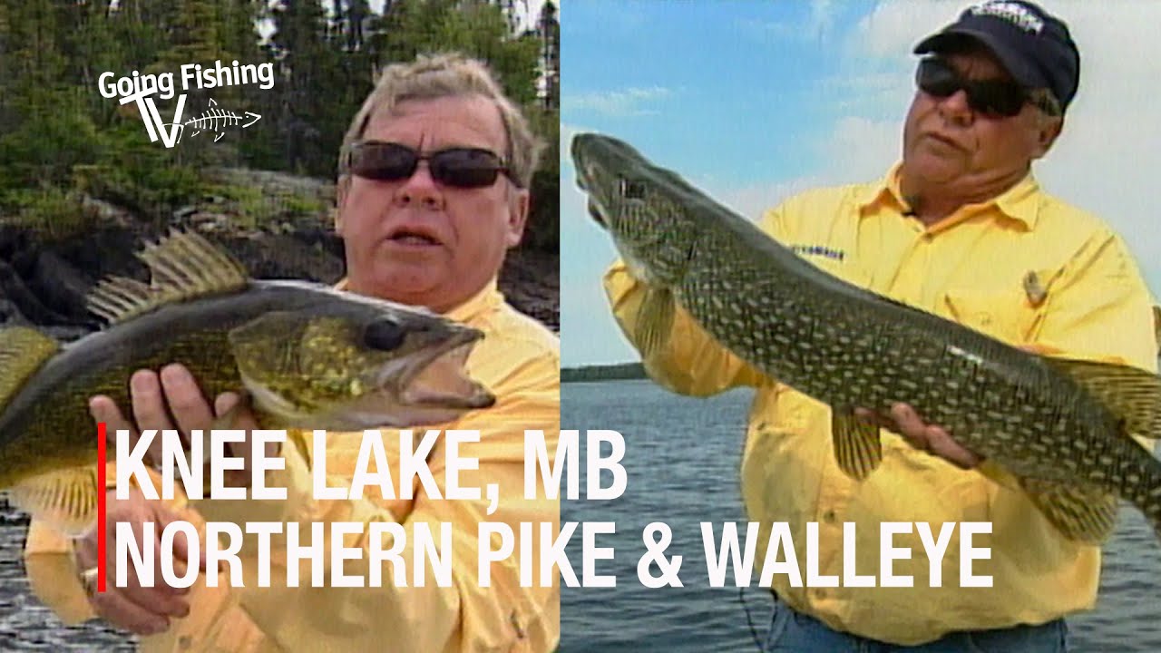 Walleye & Pike Adventure on Northern Manitoba&rsquo;s Knee Lake