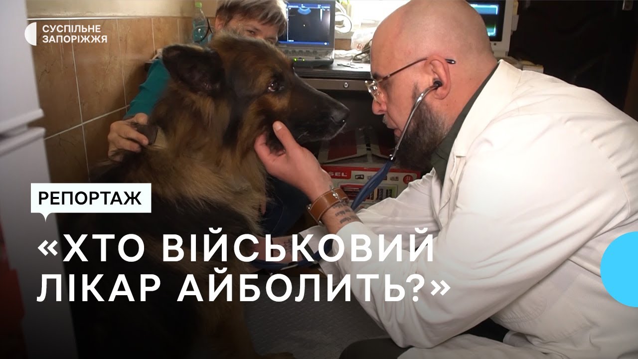 Оперує тварин просто неба та під обстрілами. Історія ветеринара, який працює на передовій