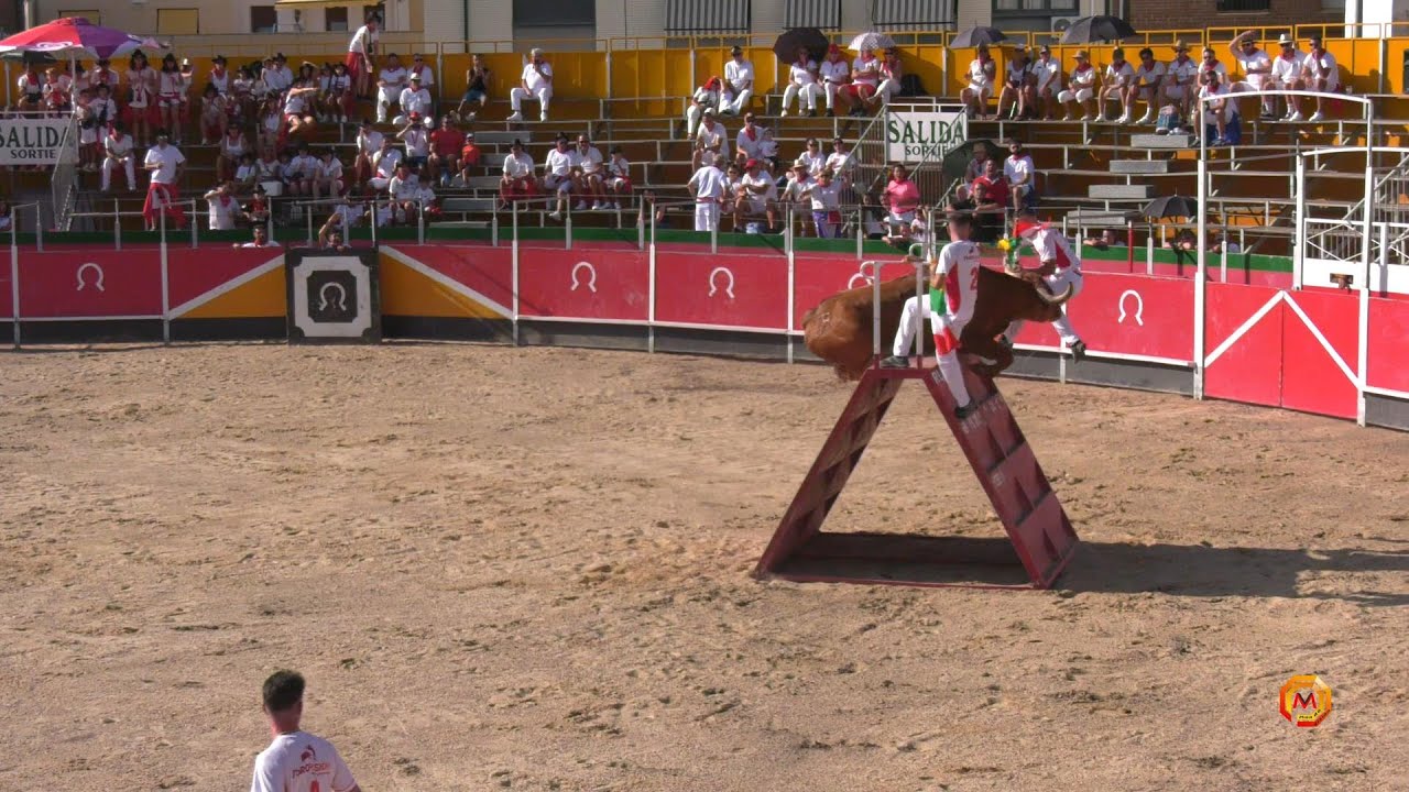 Tv Azagra - 08/09/2023 - Fiestas - Especial Arriazu.