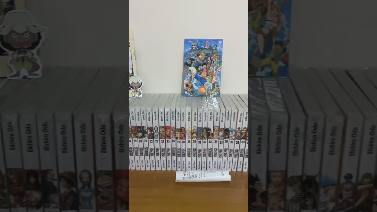 La mia collezione del manga di one piece